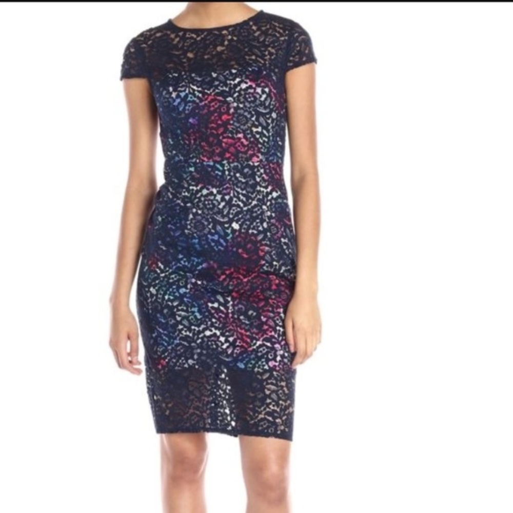 Elegant Multicolor Lace Dress